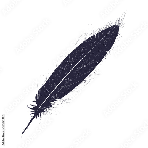 Grunge feather vector pen