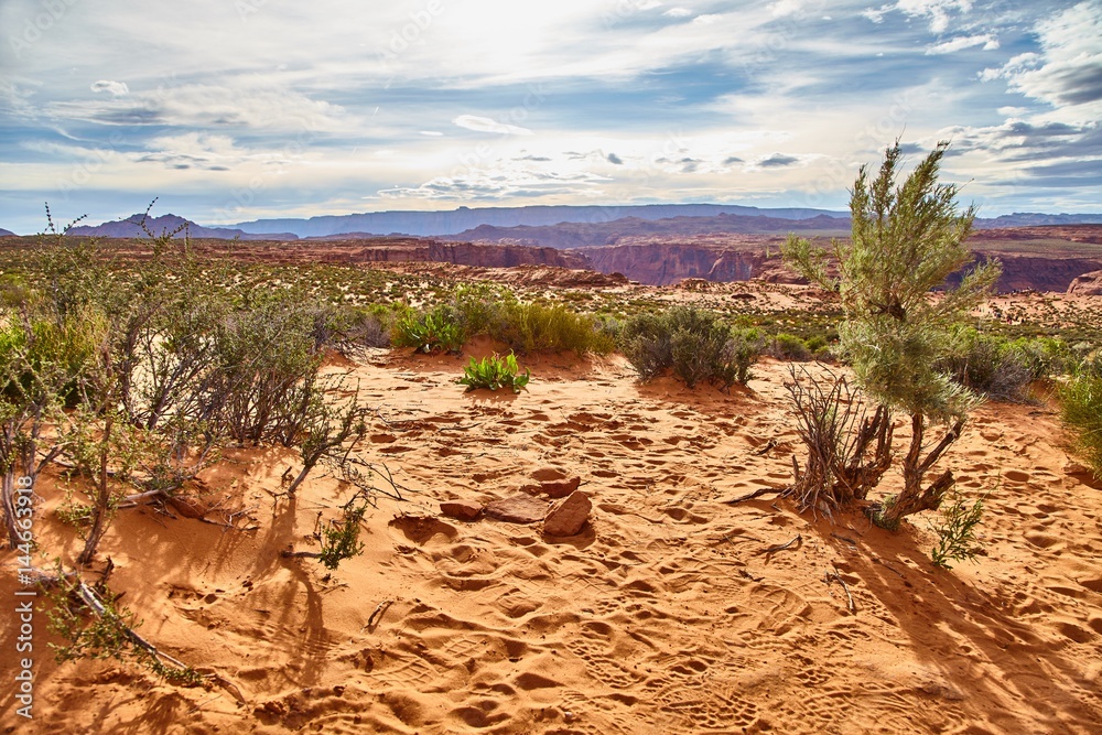 Incredibly beautiful landscape in National Park, Arizona, USA Incredibly beautiful landscape in National Park, Arizona, USA