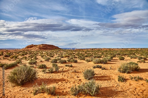 Incredibly beautiful landscape in National Park  Arizona  USA