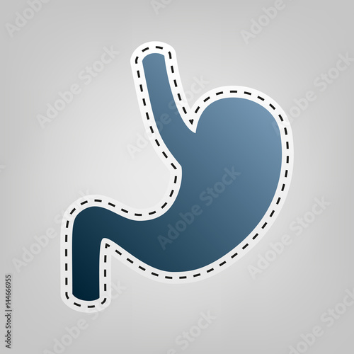 Human anatomy. Stomach sign. Vector. Blue icon with outline for cutting out at gray background.