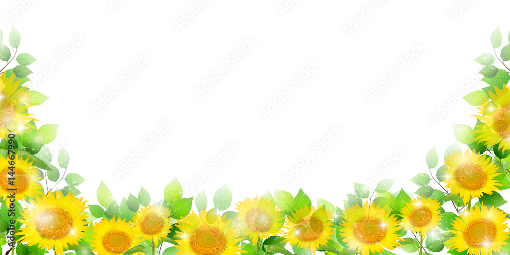 Naklejka premium ひまわり 夏 花 背景