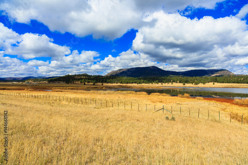 Southeastern Arizona landscape