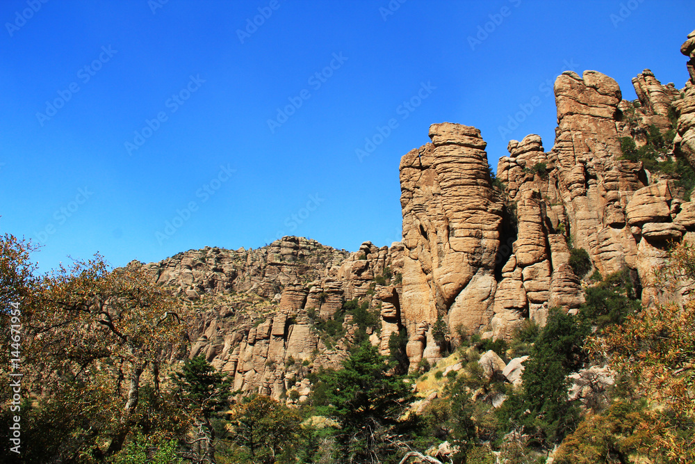 Near Organ Pipe rock hoodoos formation in Bonita Canyon, Chiricahua National Monument near Wilcox, in southern Arizona, USA.