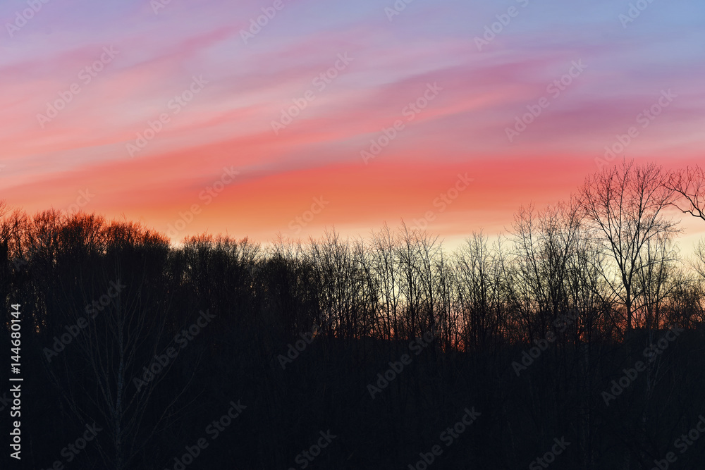 Orange clouds of the evening sky against the background of trees Orange clouds of the evening sky against the background of trees