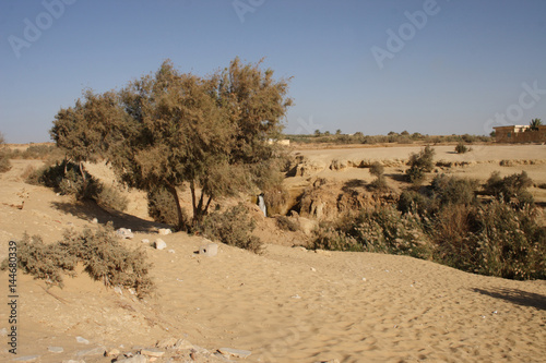 Rayan Valley Protoctorate