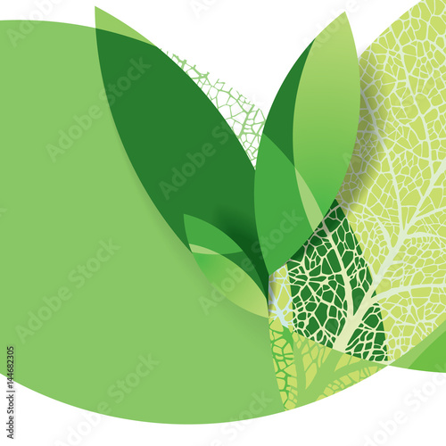 Template vector eco flyer, poster, brochure, magazine cover. Modern green leaf, environment design.