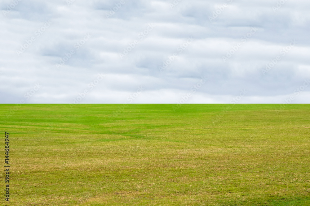 Green grass texture blue sky background with copy space. For lawn.