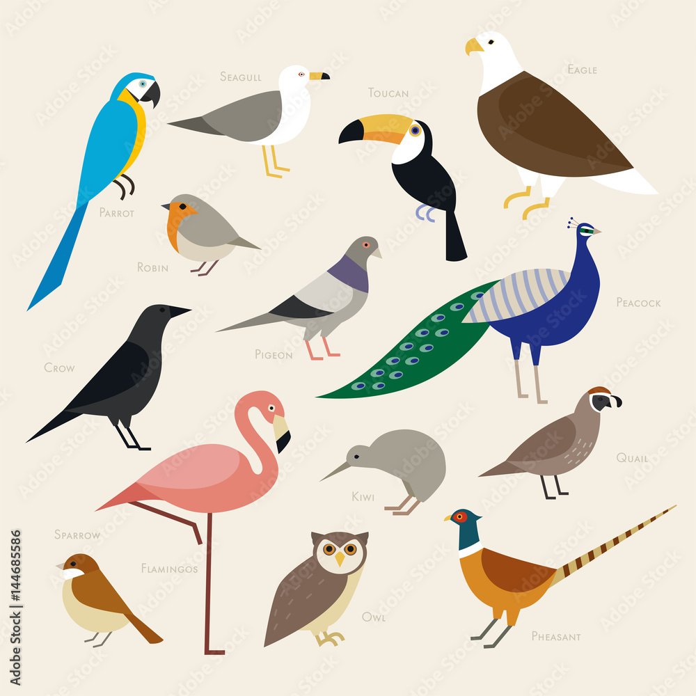 Fototapeta premium various kind birds flat design illustration set