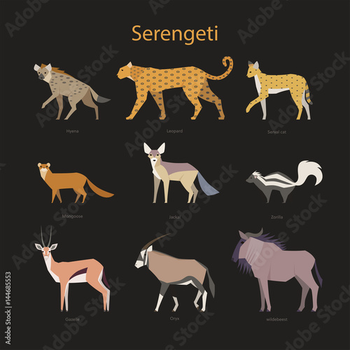 animal serengeti flat design illustratio    set