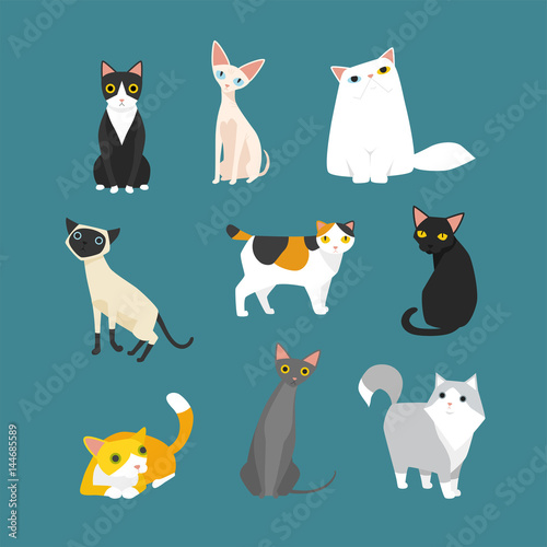cute cats various breeds flat design illustration set