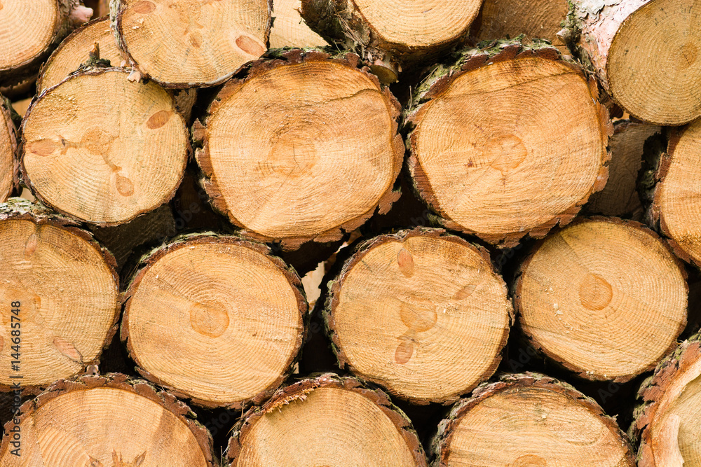 pile of wood logs