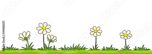 Flowers on a meadow against white background
