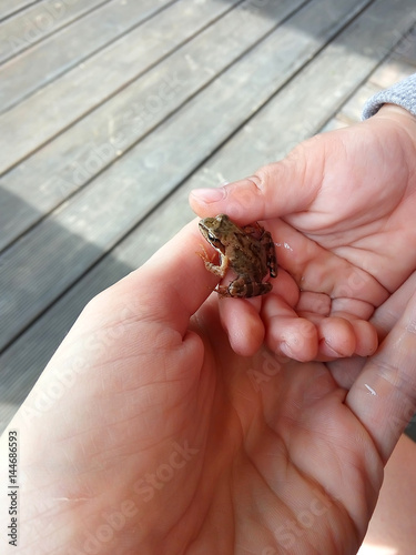Little girl and her mother holding a frog in hands