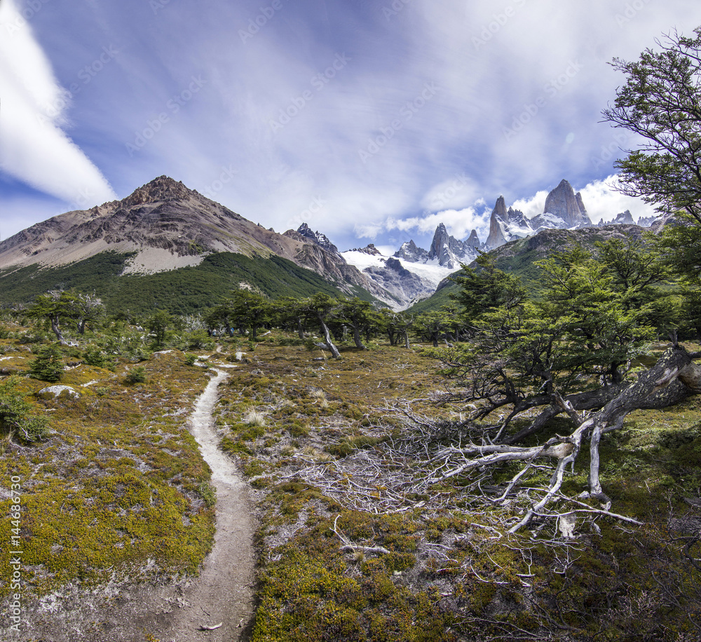 trail in forest near fitz-roy mountain in patagonia