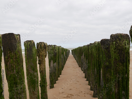 Row of wooden breakwaters on beach