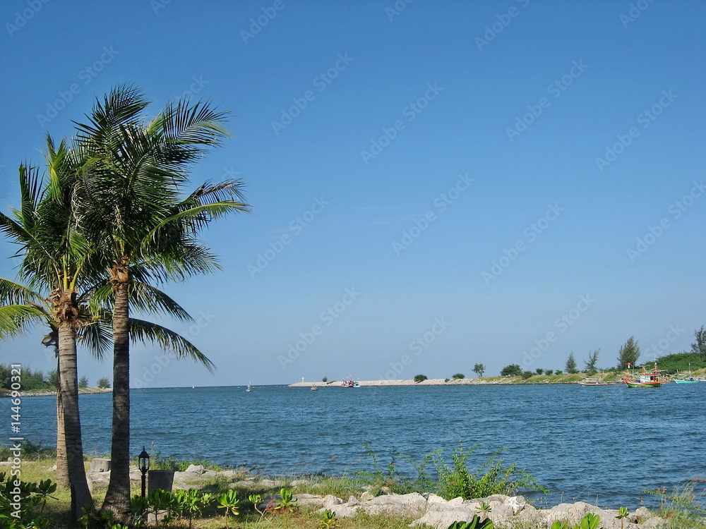 Boats at the pier and coconut tree with beautiful blue sky.