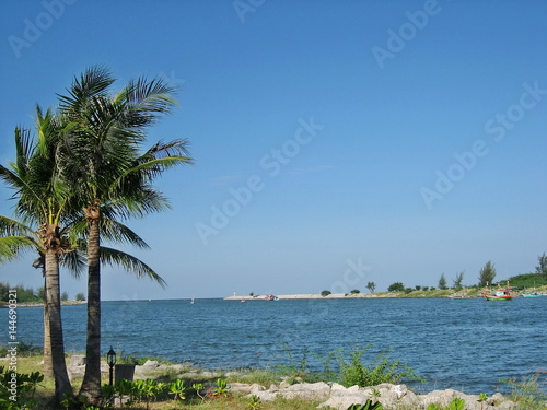 Boats at the pier and coconut tree with beautiful blue sky. © Aungsumol