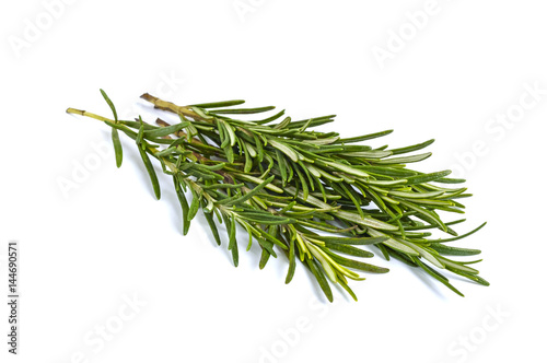 A beam of green rosemary branches isolated on white background.