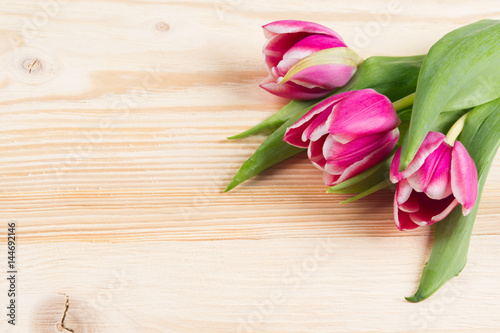 Fototapeta Naklejka Na Ścianę i Meble -  Three pink tulips on a light wooden board