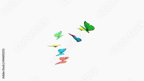 Loop animation of flying butterflies with alpha channel