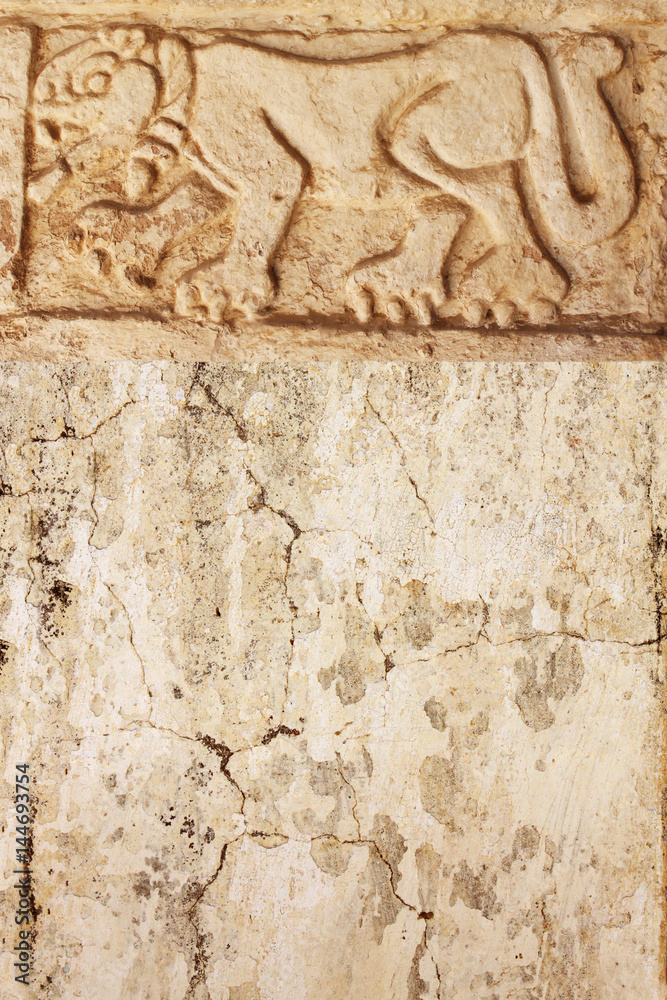 Grunge background with stucco texture and bas-relief carving of  jaguar