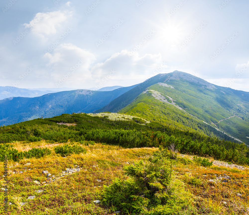 green mountain landscape under a sparkle sun green mountain landscape under a sparkle sun