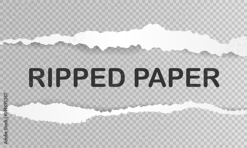 Realistic ripped paper