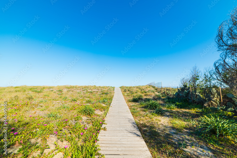 Fototapeta premium Wooden boardwalk in Colostrai