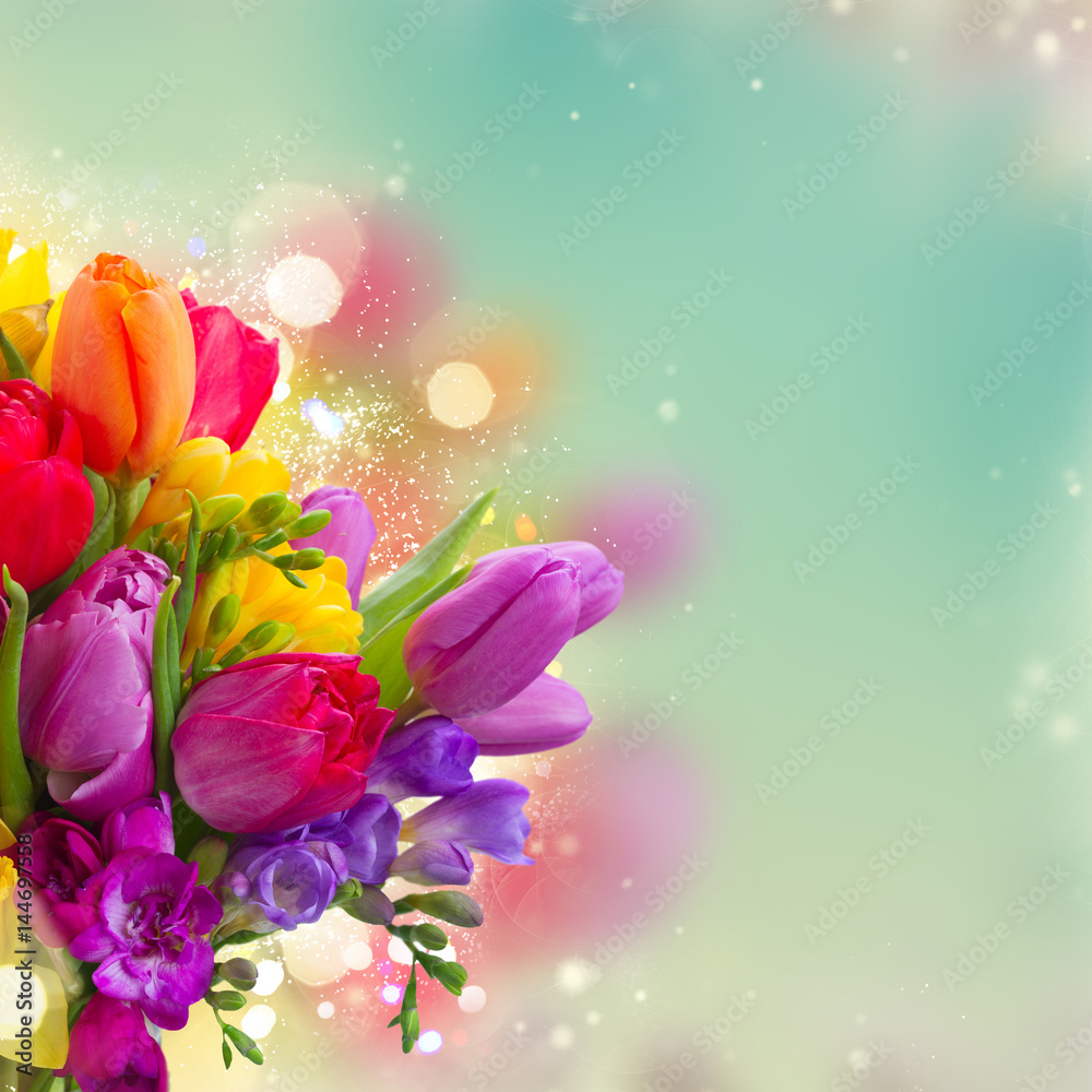 bouquet of bright spring flowers close up over dyed blue bokeh background bouquet of bright spring flowers close up over dyed blue bokeh background