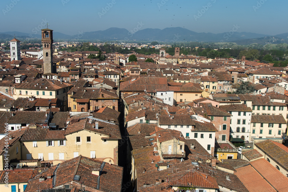 View fra Torre Guinigi, Lucca, Tuscany, Italy