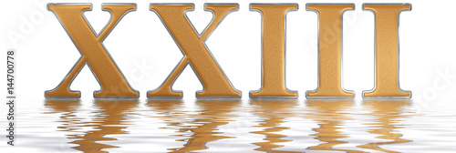 Roman numeral XXIII, tres et viginti, 23, twenty three, reflected on the water surface, isolated on  white, 3d render photo
