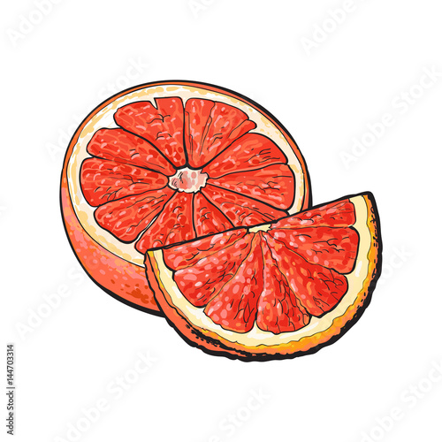 Half and quarter of ripe pink grapefruit, red orange, hand drawn sketch style vector illustration on white background. Hand drawing of unpeeled grapefruit cut in half and piece