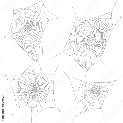 Spider web