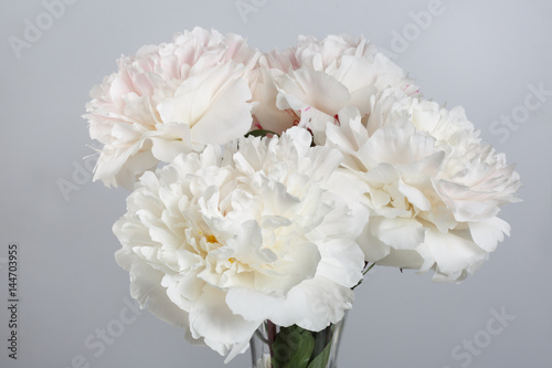 Bouquet of white peonies isolated on a gray background.