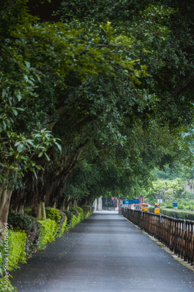 Countryside road scenery 