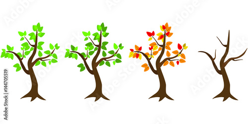Vector flat trees isolated. Infographics, change of seasons on white background.