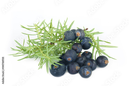 juniper berries isolated