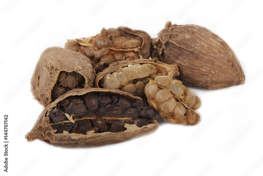 Obraz premium heap of black cardamom isolated