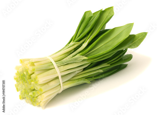 Quadro su tela Ramsons (Wild Garlic) isolated on a white background