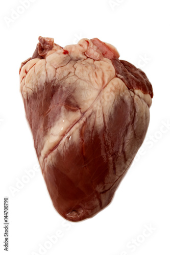 raw lamb heart, isolated on white background