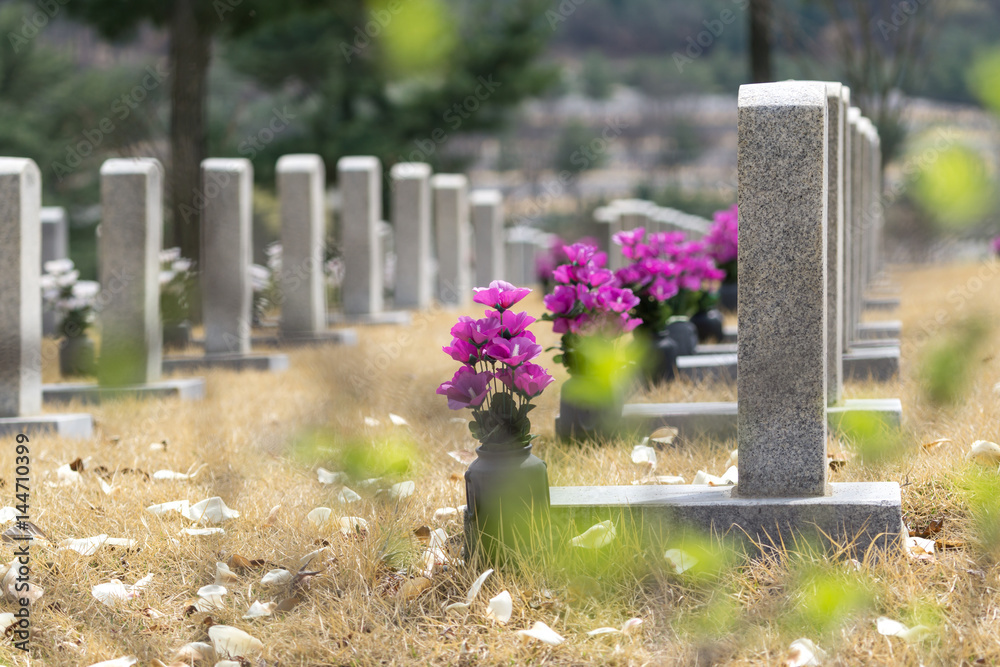 Fototapeta premium gravestones at seoul national cemetery