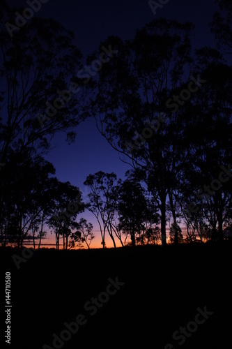 Sunset 3