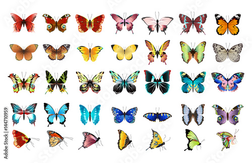 Beautiful colorful butterflies set on white background.