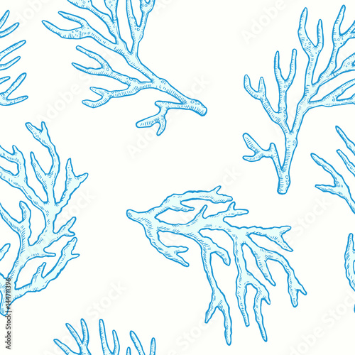 Marine life. Vector seamless pattern with hand drawn sea natural elements. Coral sprigs