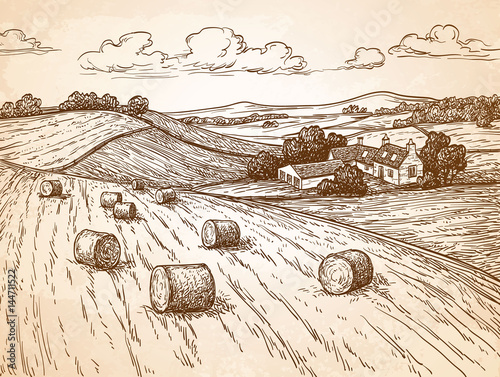 Field with haystacks.