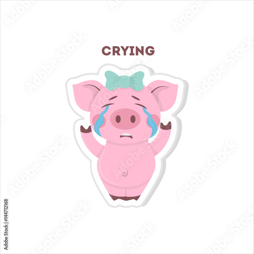 Isolated crying pig sits on white background.