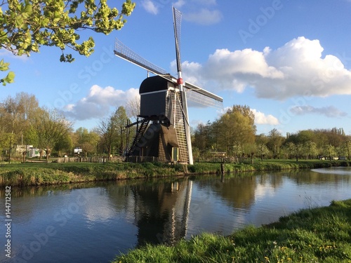 Dutch windmill with reflection in water