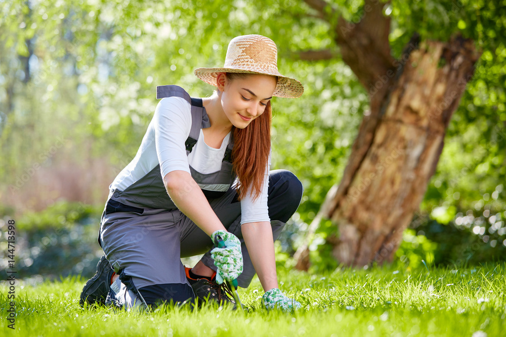 Young woman working in the garden at springtime