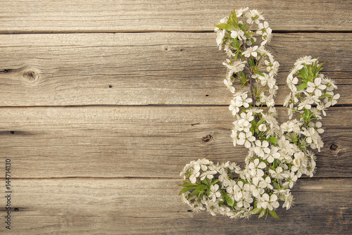 Branches of a flowering tree on wooden boards.