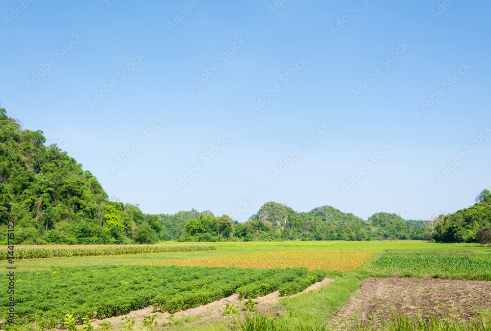 Stone mountain landscape background Stone mountain landscape background